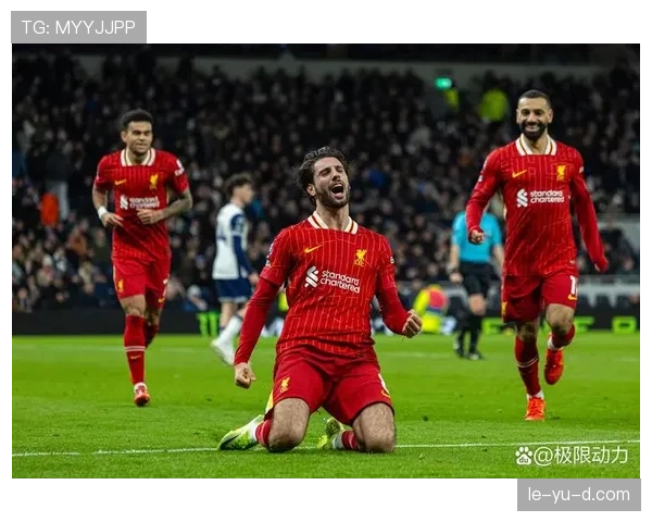 英超红黄牌榜引热议：纪律问题升级，球员行为成焦点