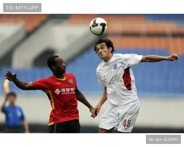 谢联新援加盟，球队战力升级引关注