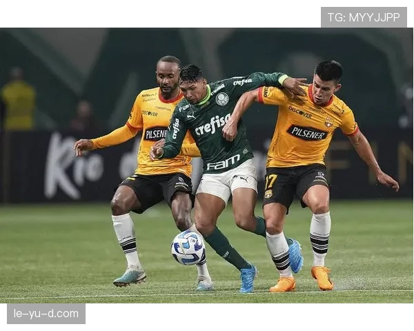 南美解放者杯最新赛况与热点新闻