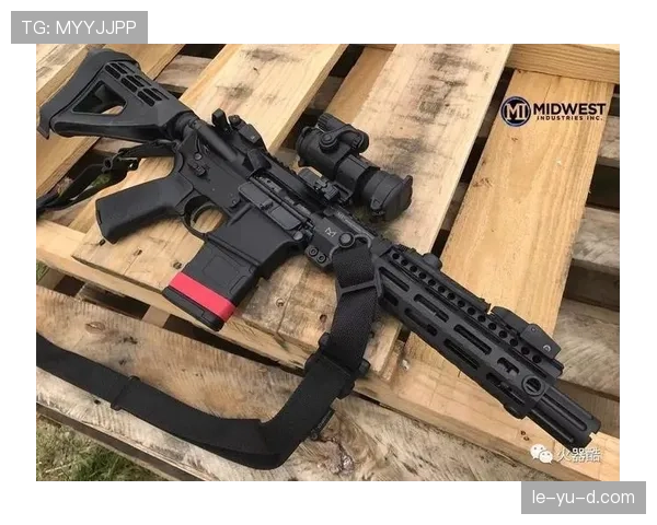 厄德高体系依赖与个人能力的战术适配性分析